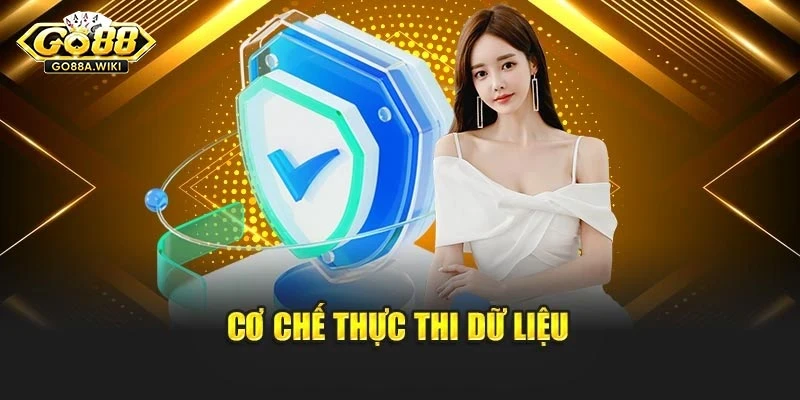 Cơ chế thực thi dữ liệu Cơ chế thực thi dữ liệu
